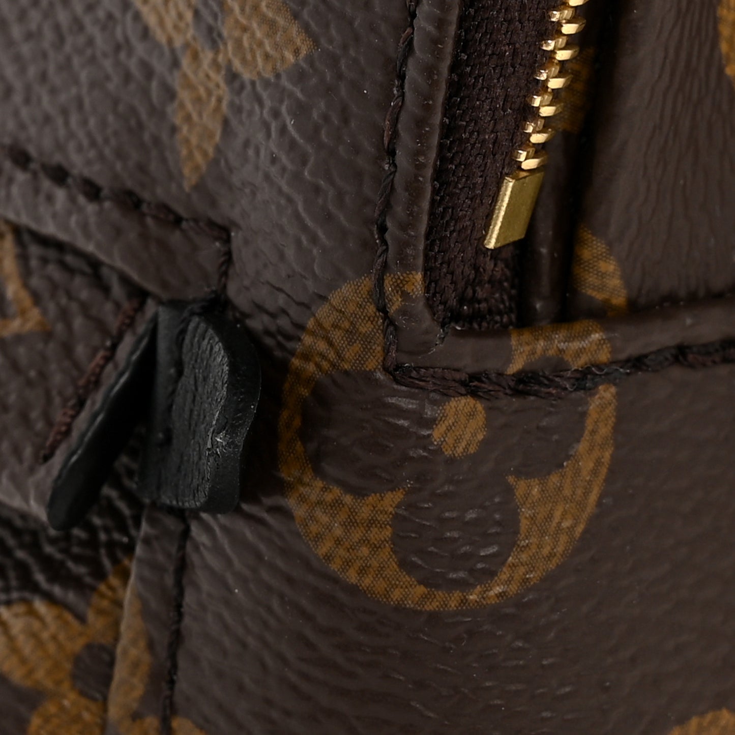 Monogram Palm Springs Backpack Mini