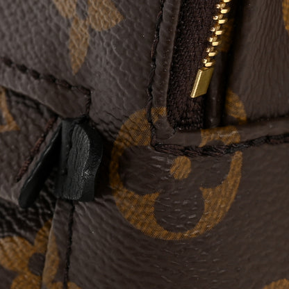 Louis Vuitton Monogram Palm Springs Backpack Mini 25 of 25
