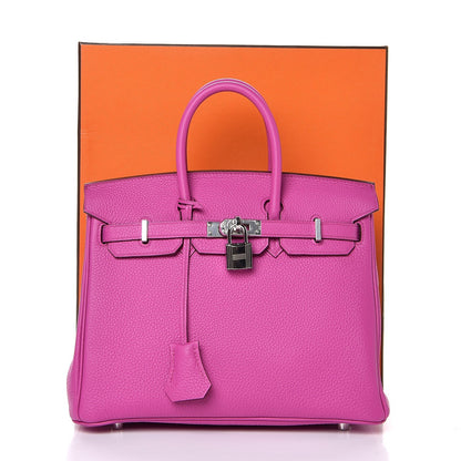 Hermes Togo Birkin 25 Magnolia 32 of 32