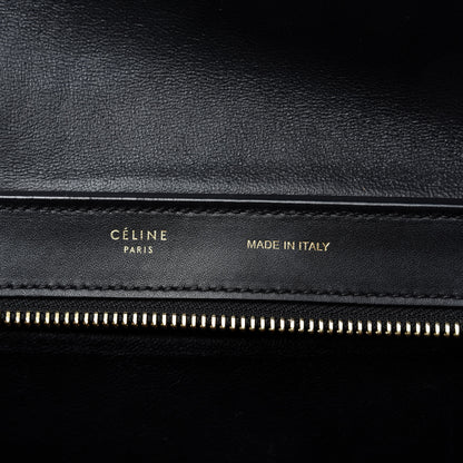 Celine Bullhide Calfskin Nubuck Small Tri-Color Trapeze Coffee 8 of 9