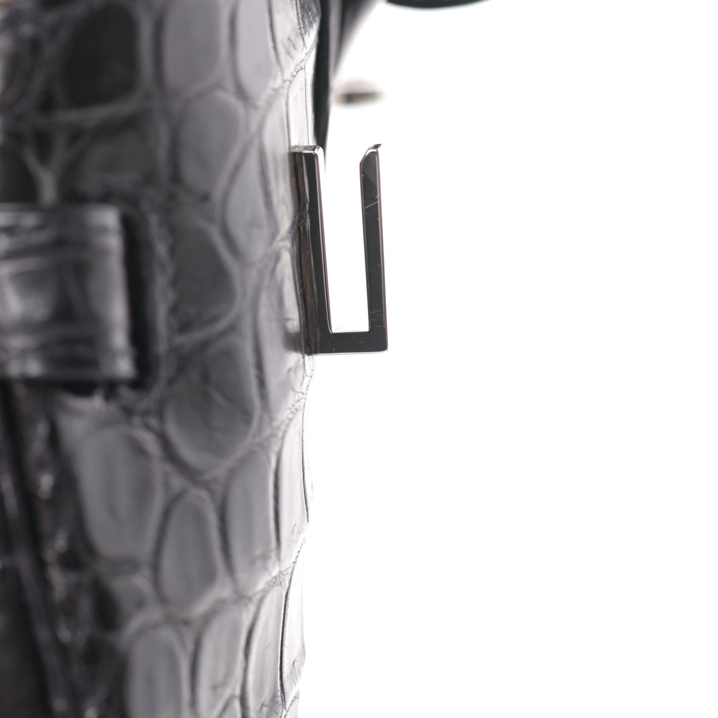 Matte Niloticus Crocodile Birkin 30 Black