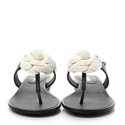 Chanel Lambskin Camellia Thong Sandals 35 Black White 2 of 9