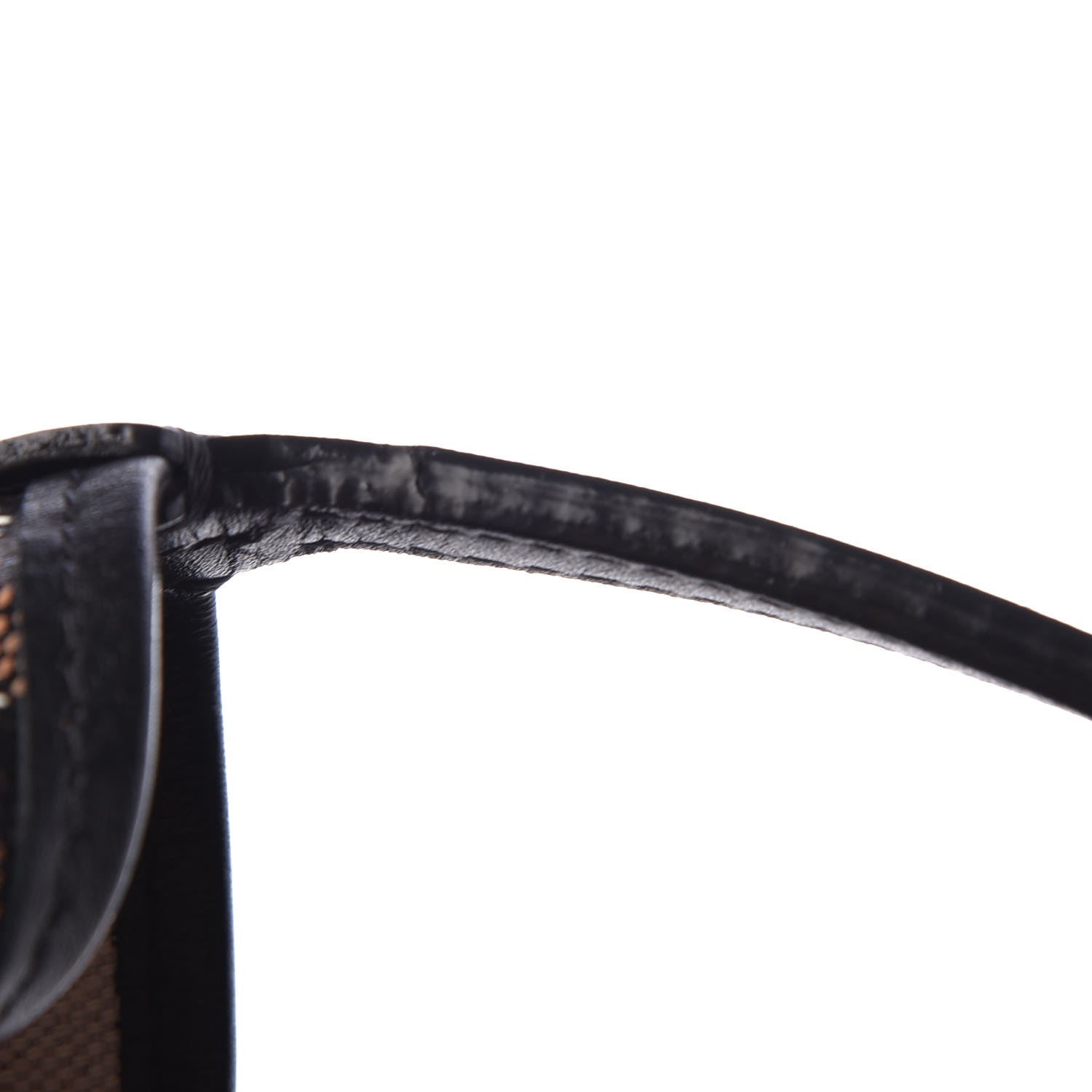 Goyard Goyardine Saint Louis PM Black 18 of 21