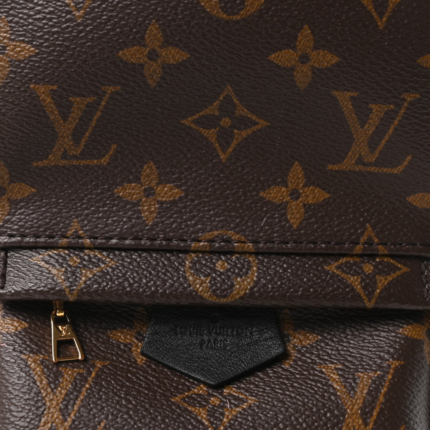 Monogram Palm Springs Backpack Mini