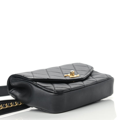 Chanel Calfskin Quilted Flap Waist Bag Black 4 of 15