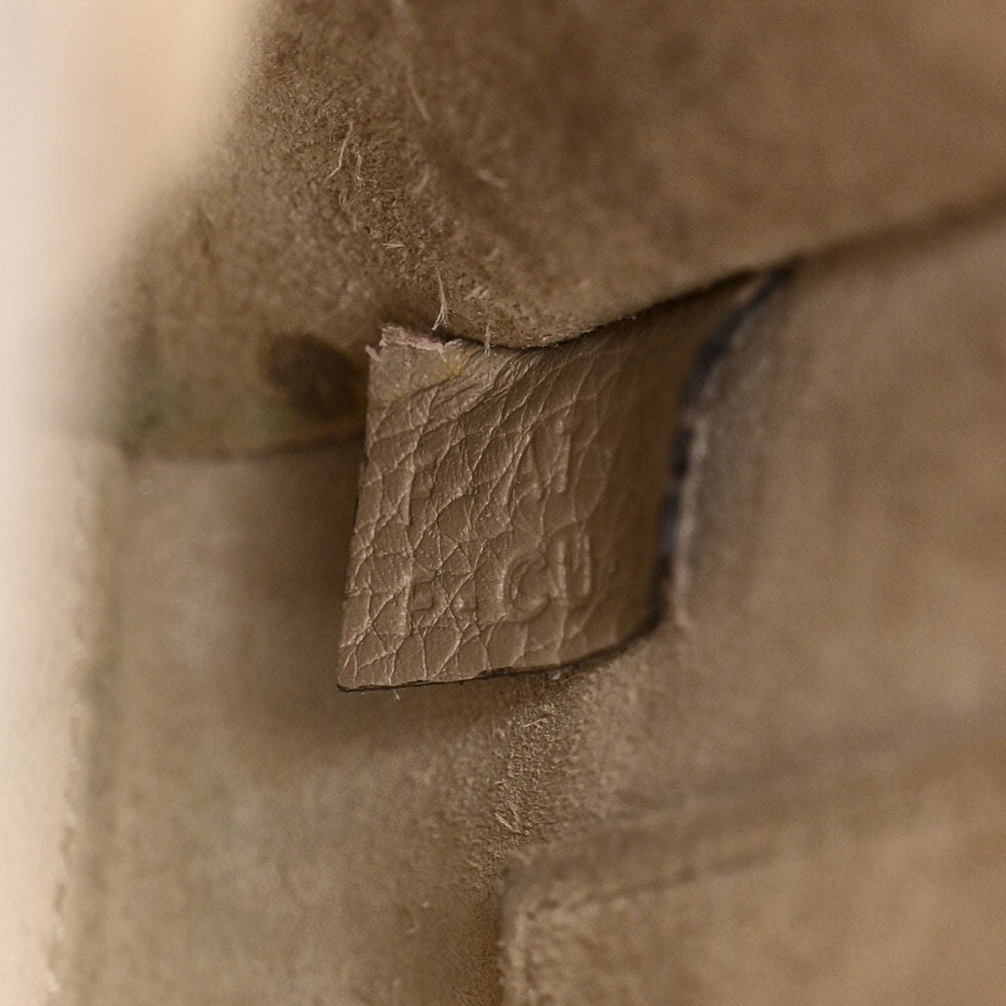 Drummed Calfskin Nano Luggage Dune