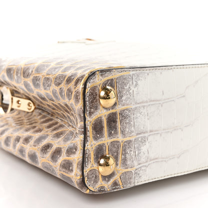 Louis Vuitton Himalaya Crocodile BB Capucines 9 of 10