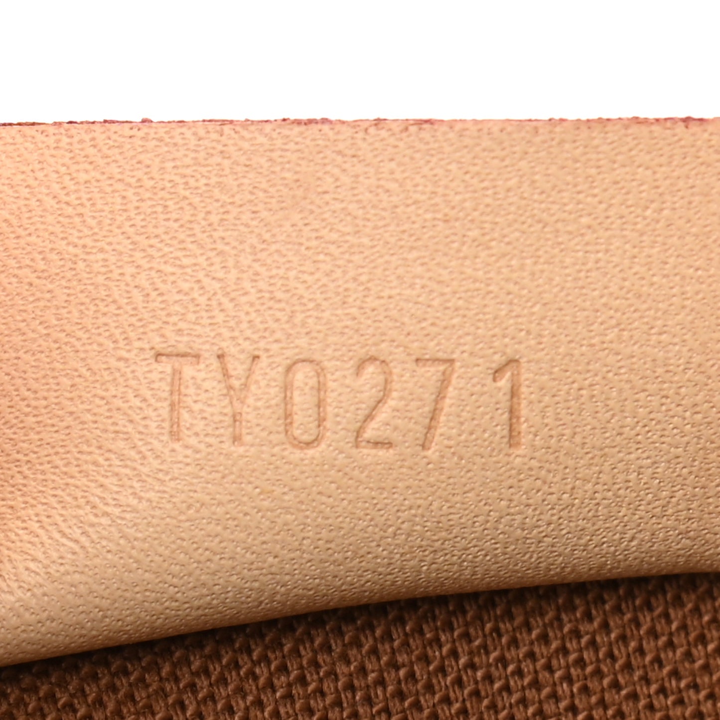 Monogram Nano Speedy