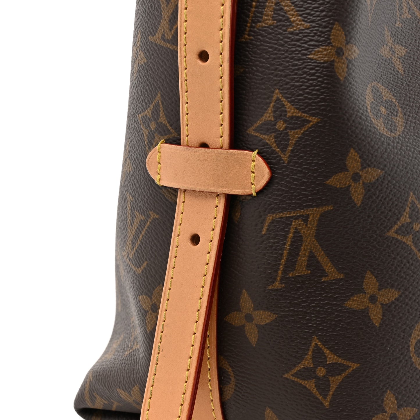Monogram CarryAll PM