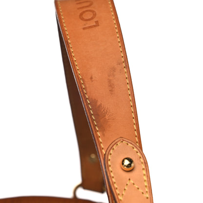 Louis Vuitton Monogram Delightful GM 16 of 22