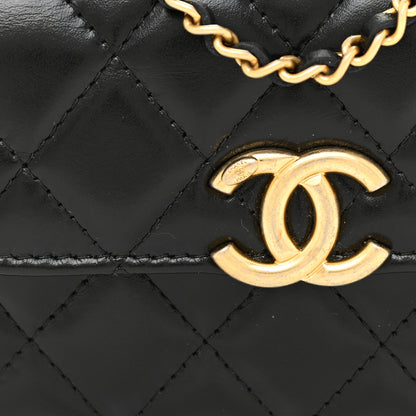 Chanel Calfskin Quilted Perfect Fit Coin Purse With Chain Black 9 of 12