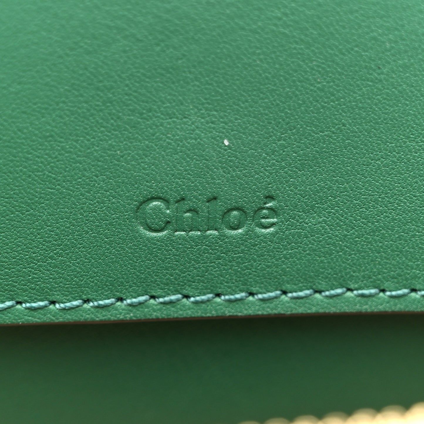 Calfskin Crocodile Embossed Mini C Vanity Bag Woodsy Green