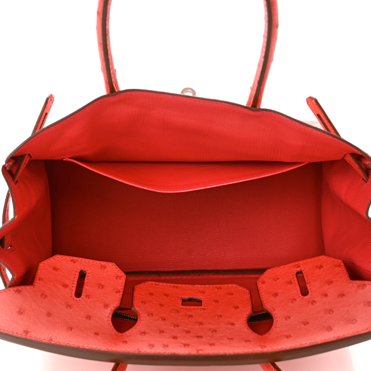 Ostrich Birkin 30 Bougainvillea