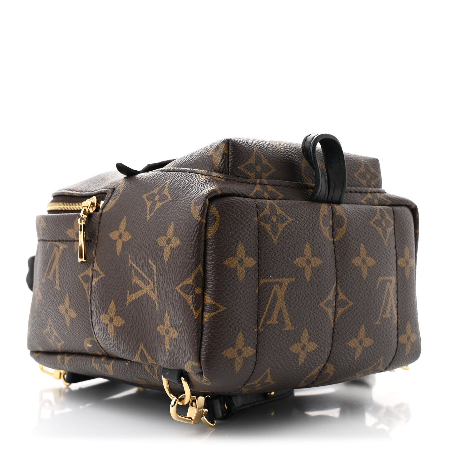 Monogram Palm Springs Backpack Mini