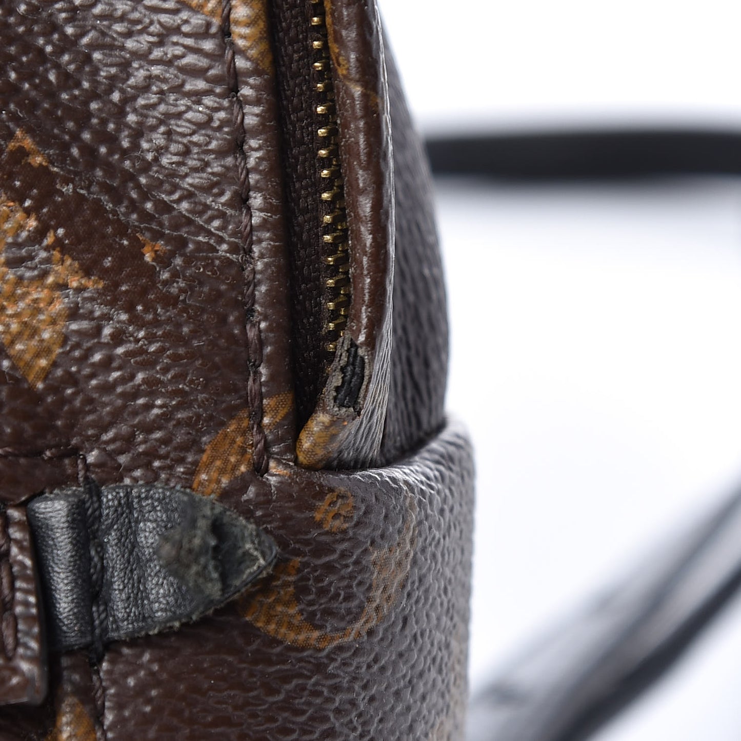 Monogram Palm Springs Backpack Mini