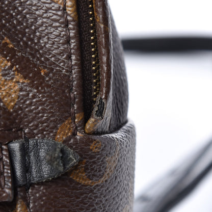 Louis Vuitton Monogram Palm Springs Backpack Mini 16 of 16