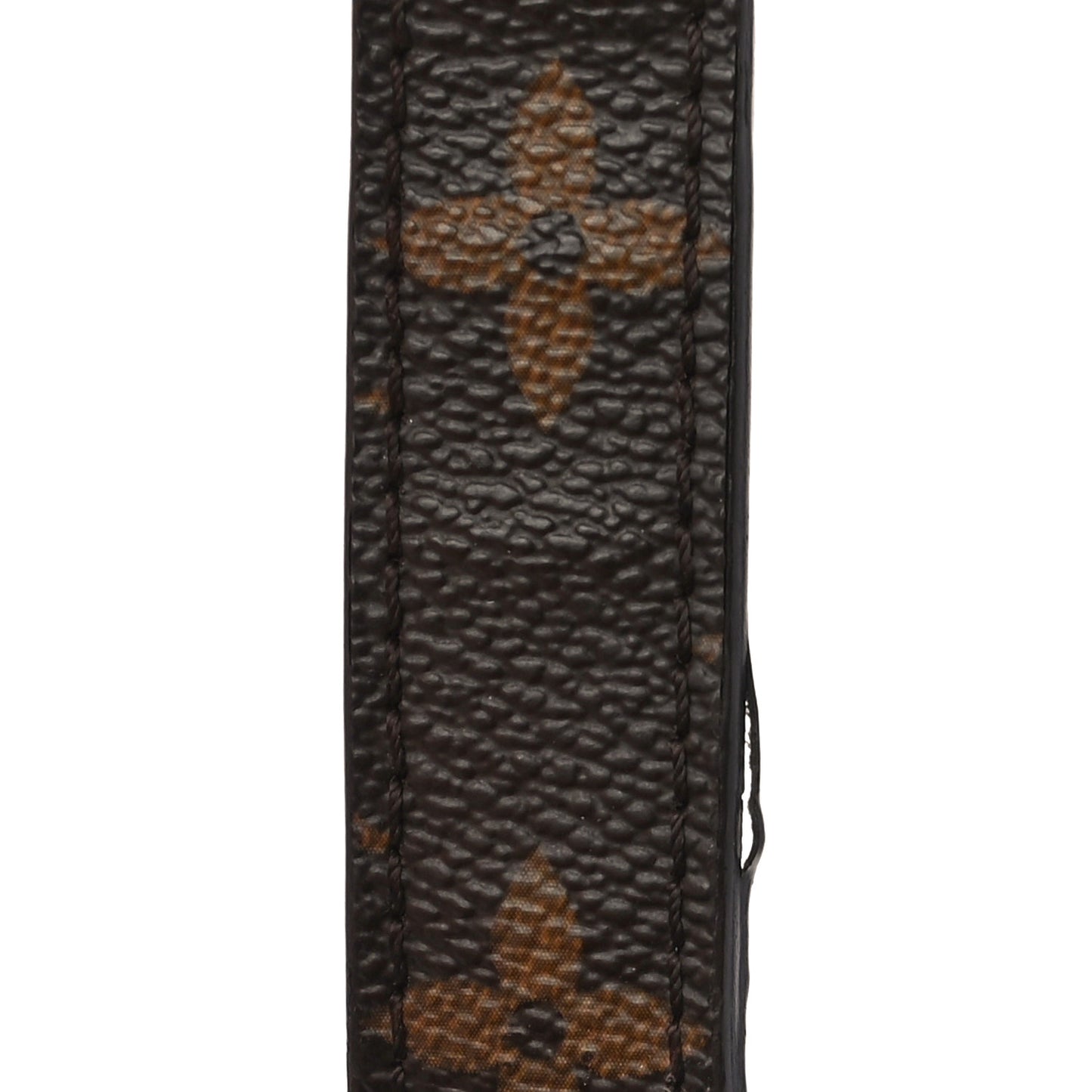 Monogram Eden MM Camel