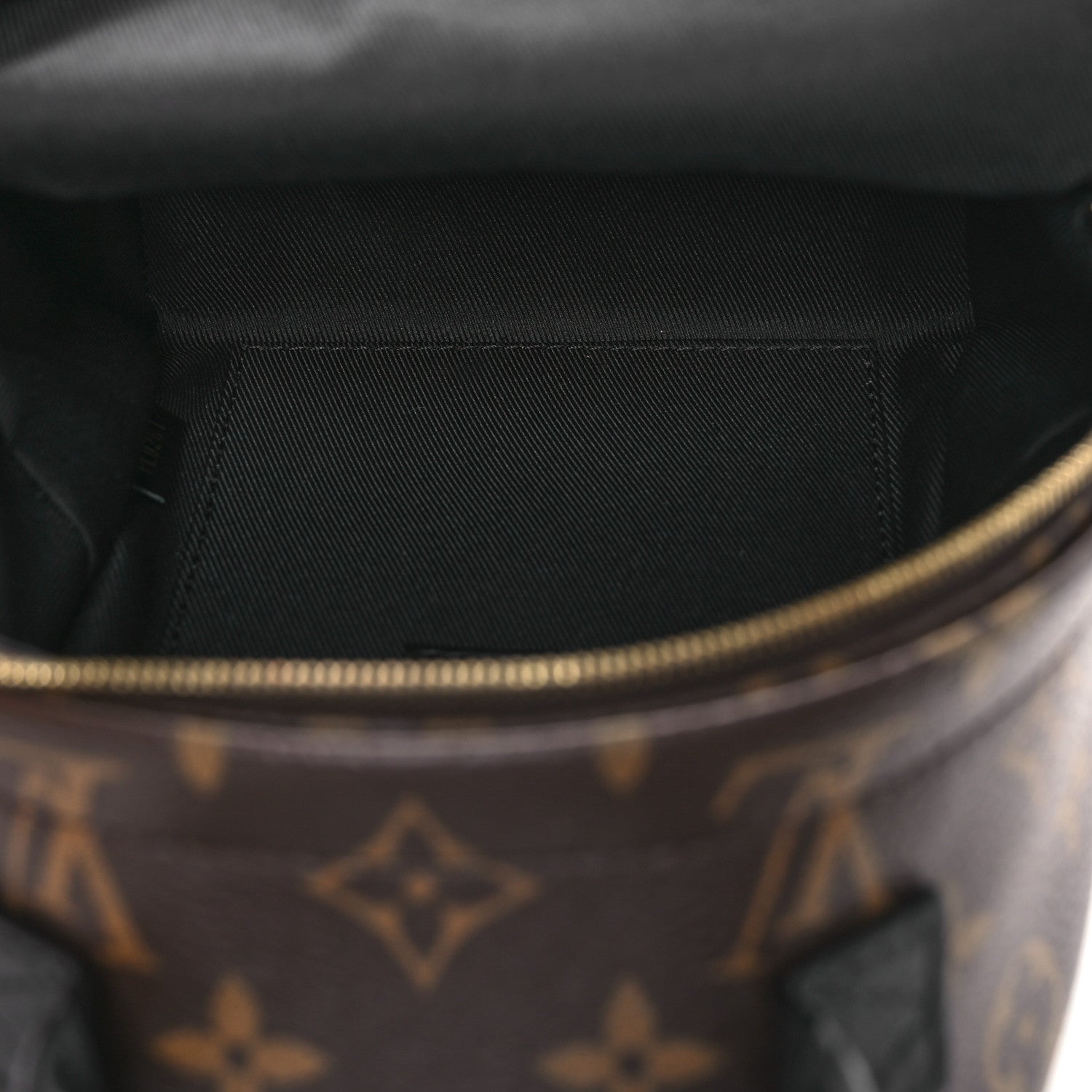 Louis Vuitton Monogram Palm Springs Backpack Mini 5 of 12