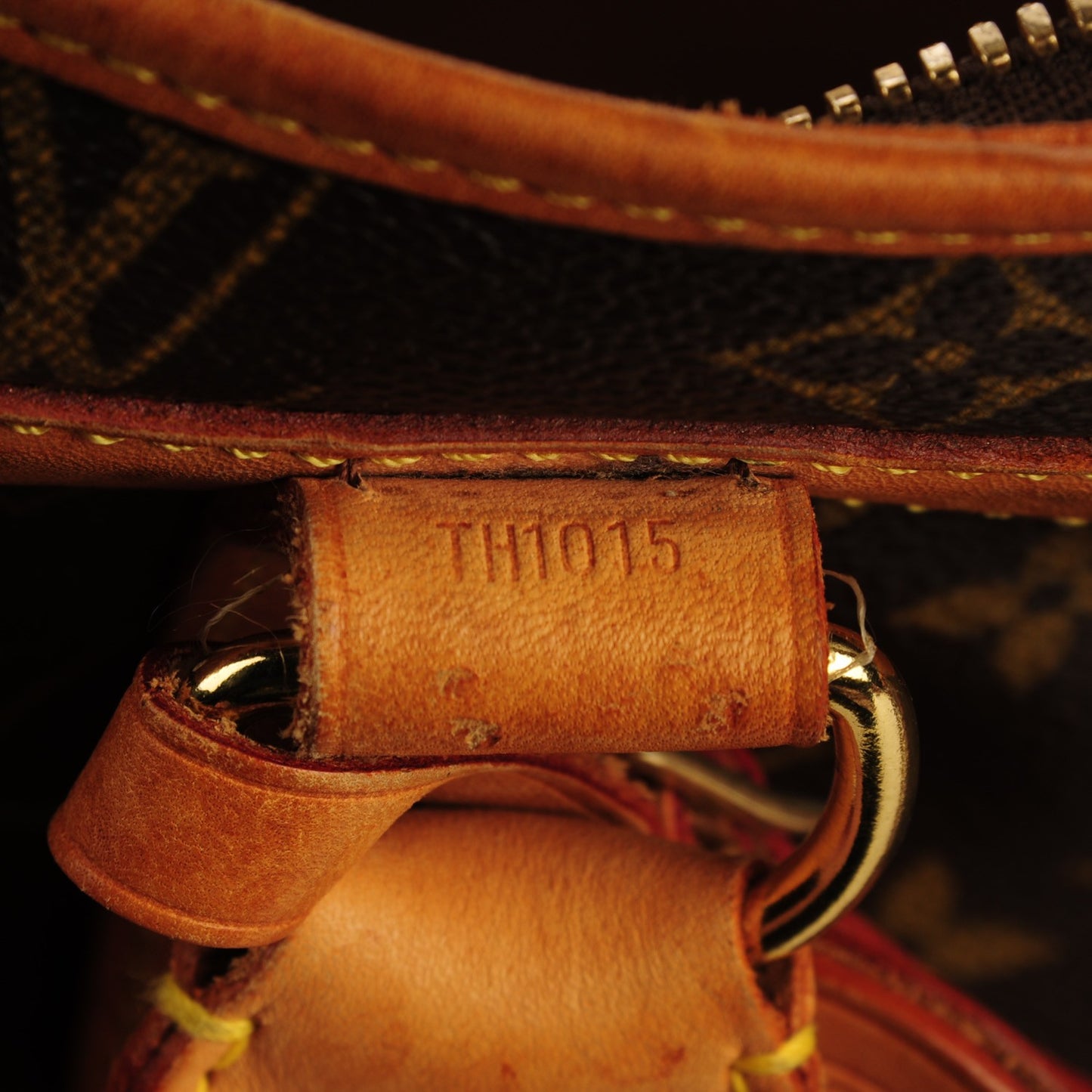 Monogram Sac Chien 50 Pet Carrier