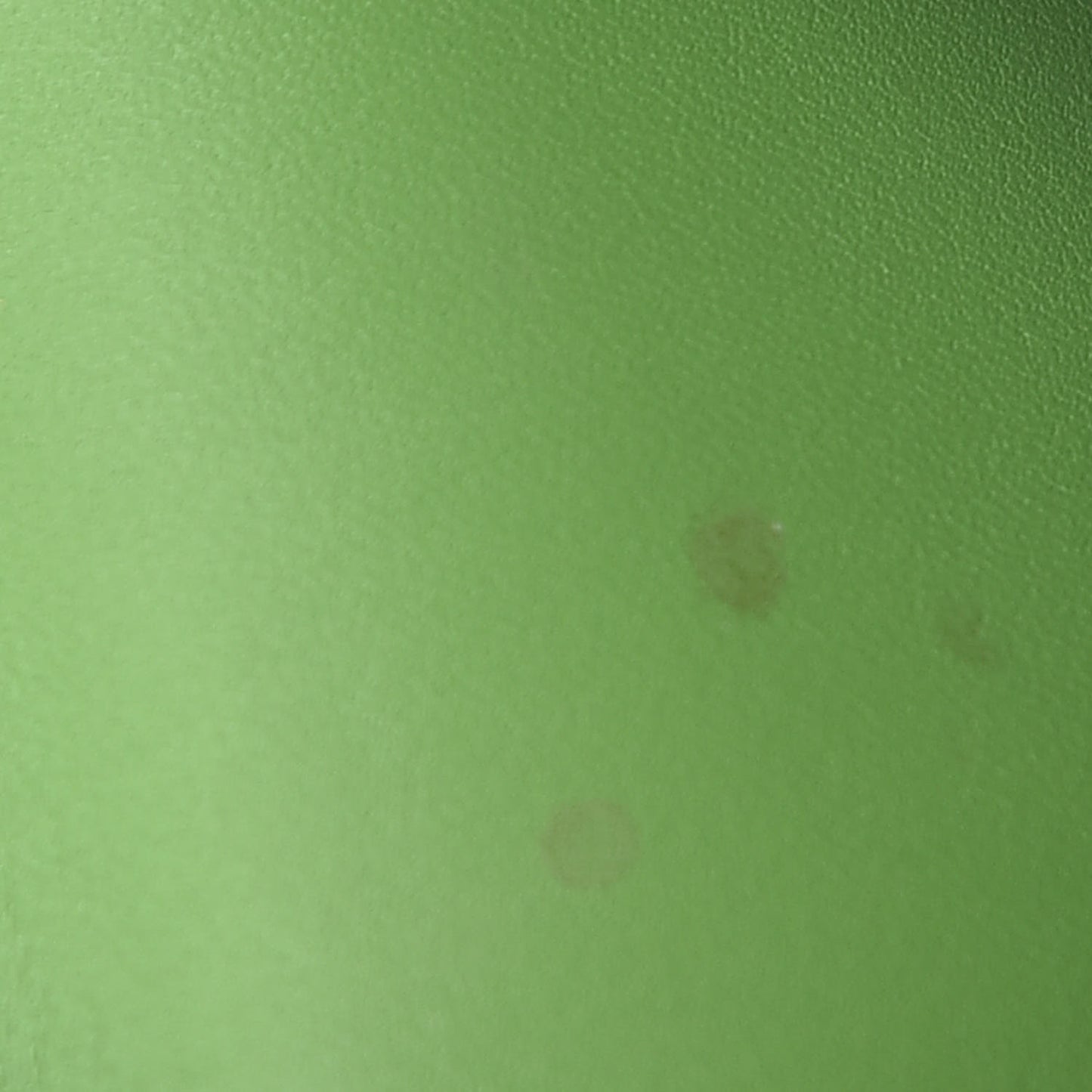 Vernis French Purse Wallet Vert Tonic