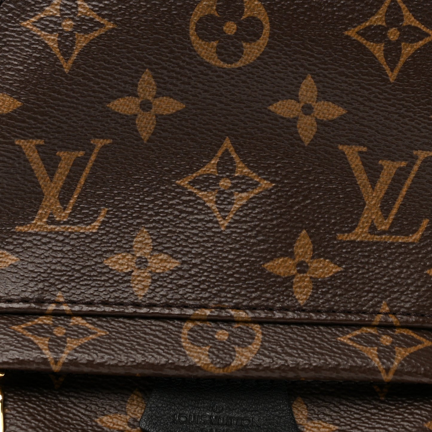 Monogram Palm Springs Backpack Mini