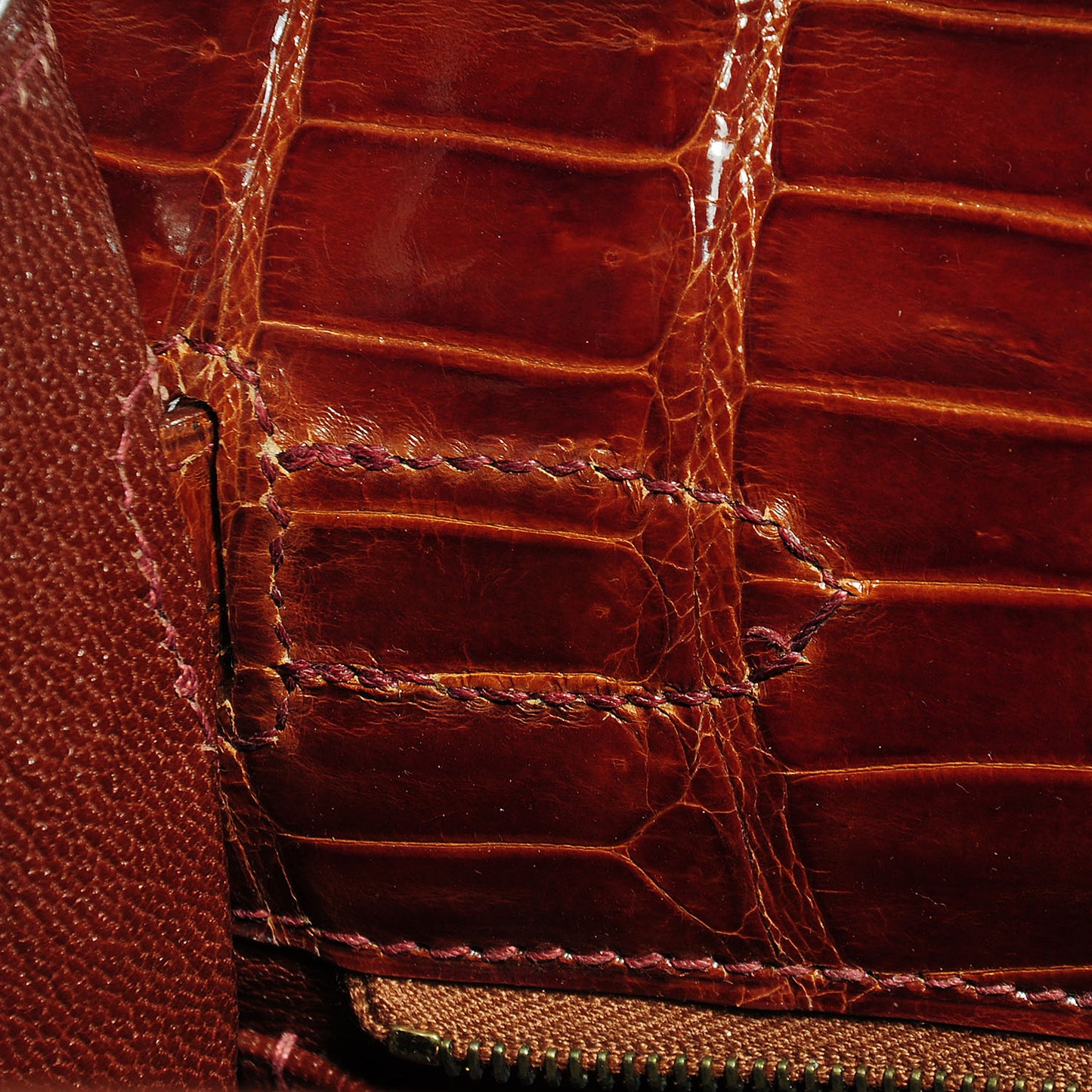 Shiny Porosus Crocodile Kelly Sellier 32 Miel