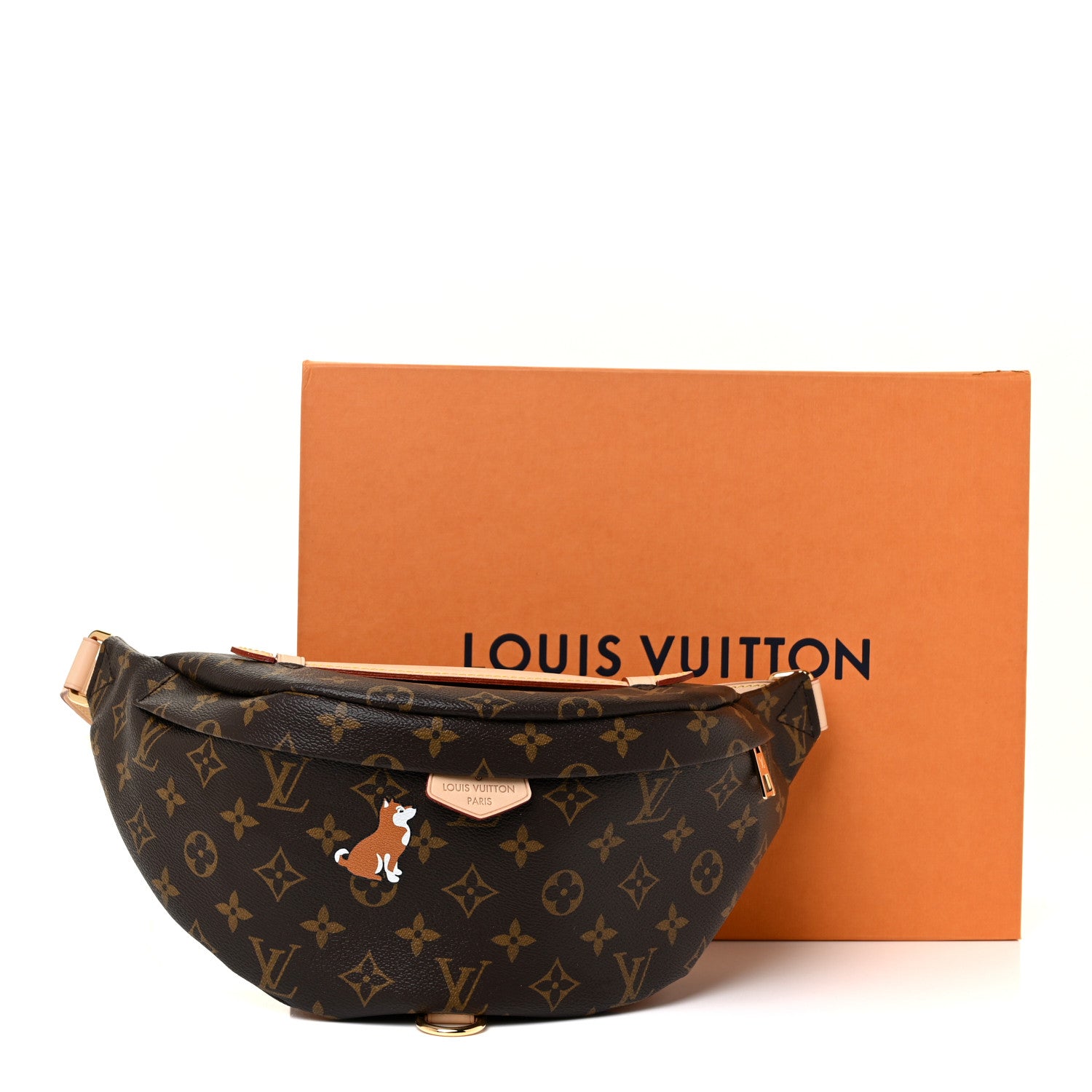 Louis Vuitton Monogram My LV World Tour Bumbag 10 of 10