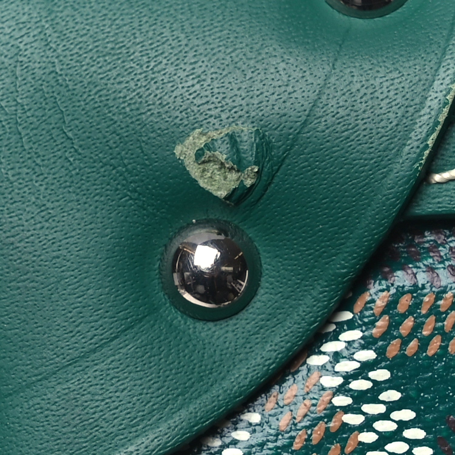 Goyard Goyardine Bourget PM Green 14 of 18