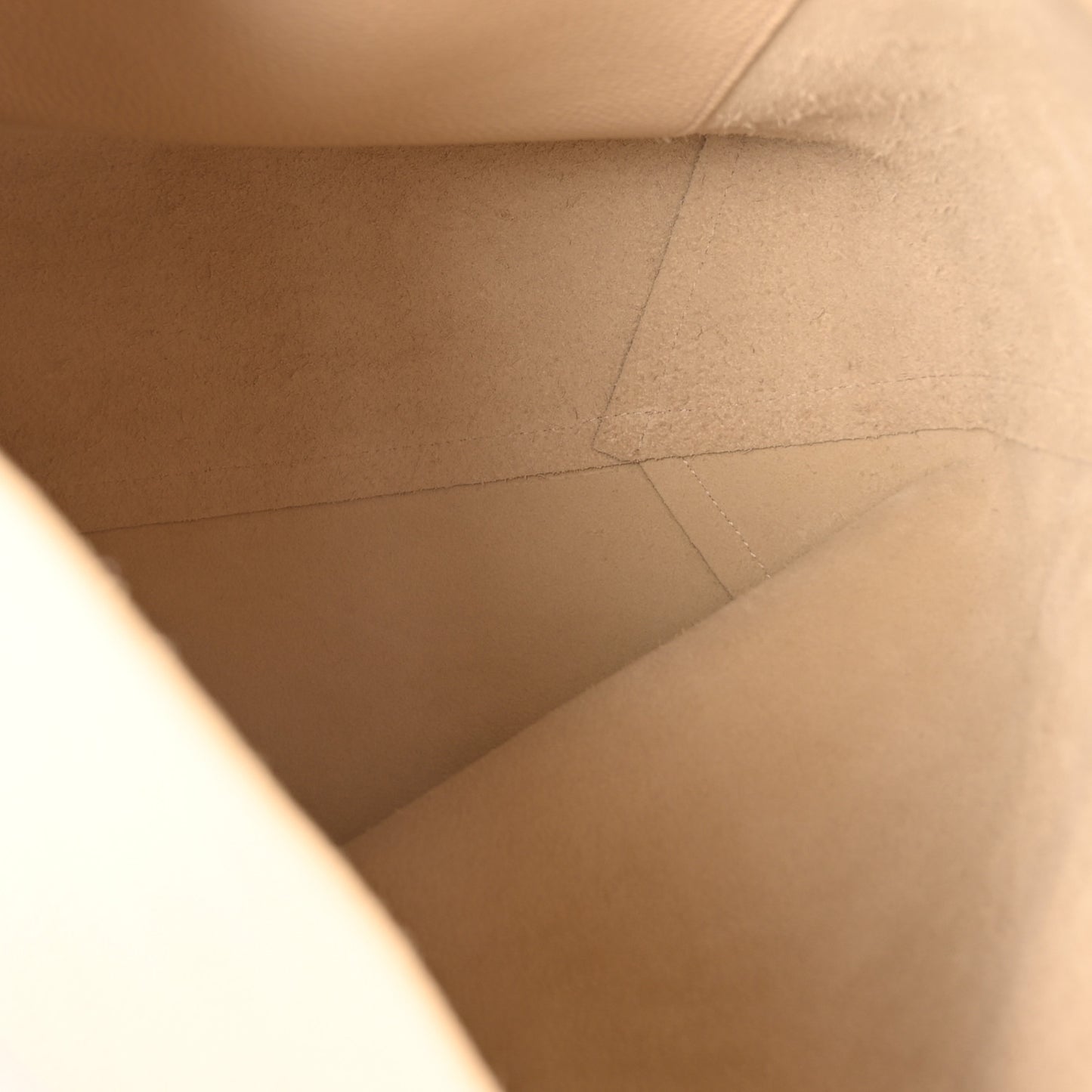 Pebbled Calfskin Everyday Cabas Avario