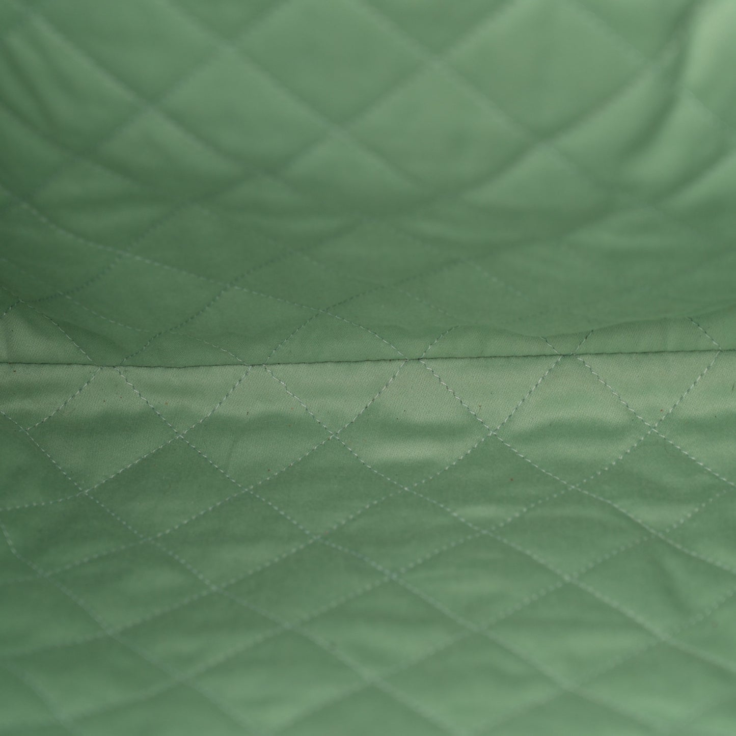 Shiny Calfskin Quilted Chanel 22 Light Green
