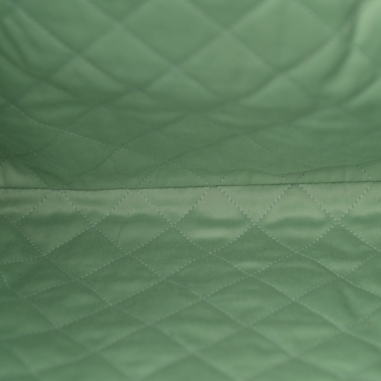 Chanel Shiny Calfskin Quilted Chanel 22 Light Green 6 of 12
