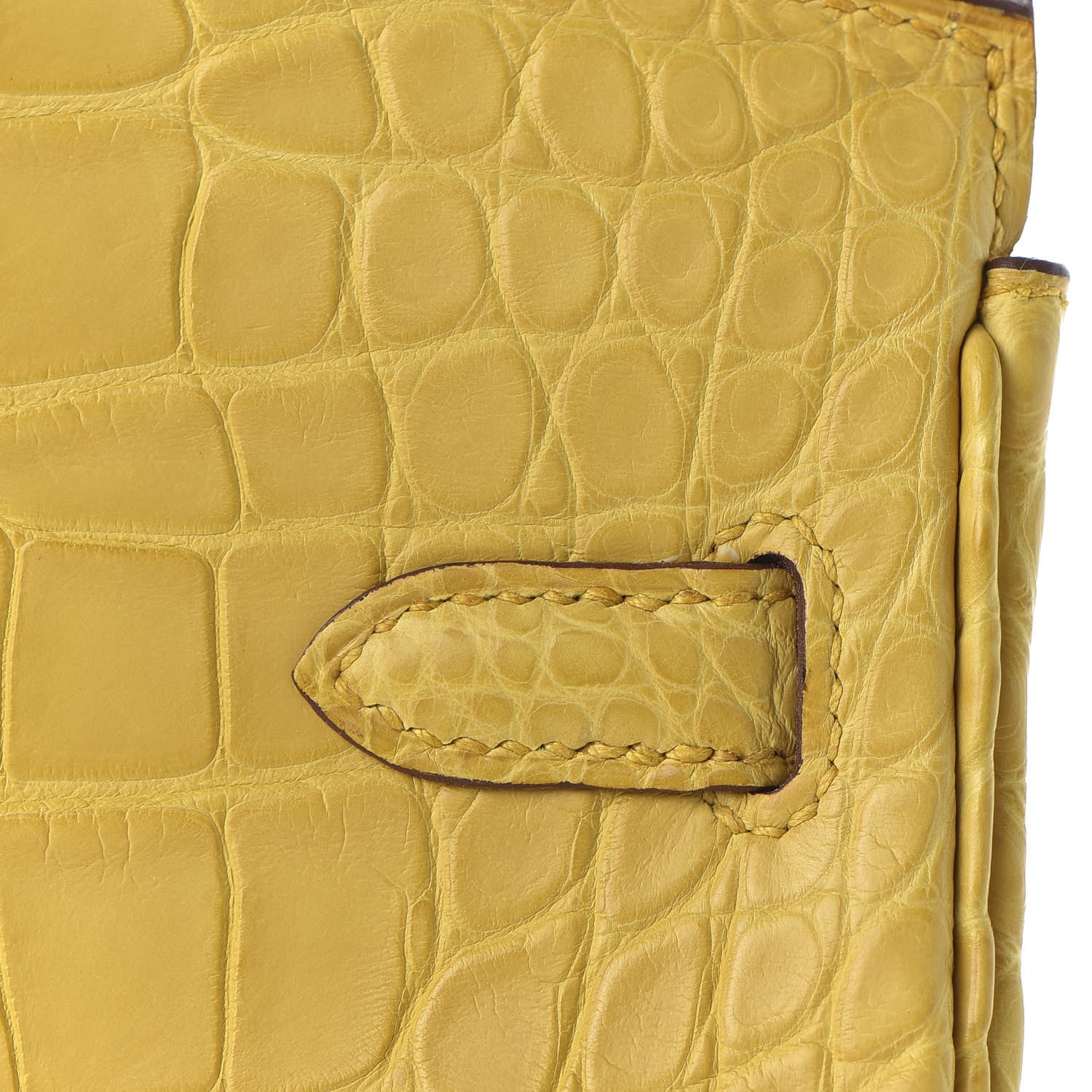 Hermes Matte Alligator Birkin 25 Jaune Ambre 9 of 33