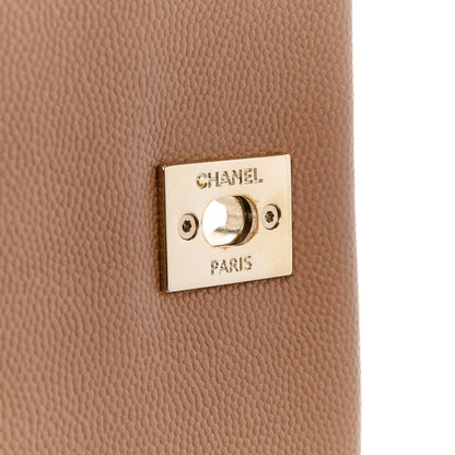 Chanel Caviar Quilted Lizard Embossed Small Coco Handle Flap Brown 7 of 14