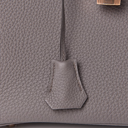 Hermes Togo Birkin 25 Etain 29 of 31