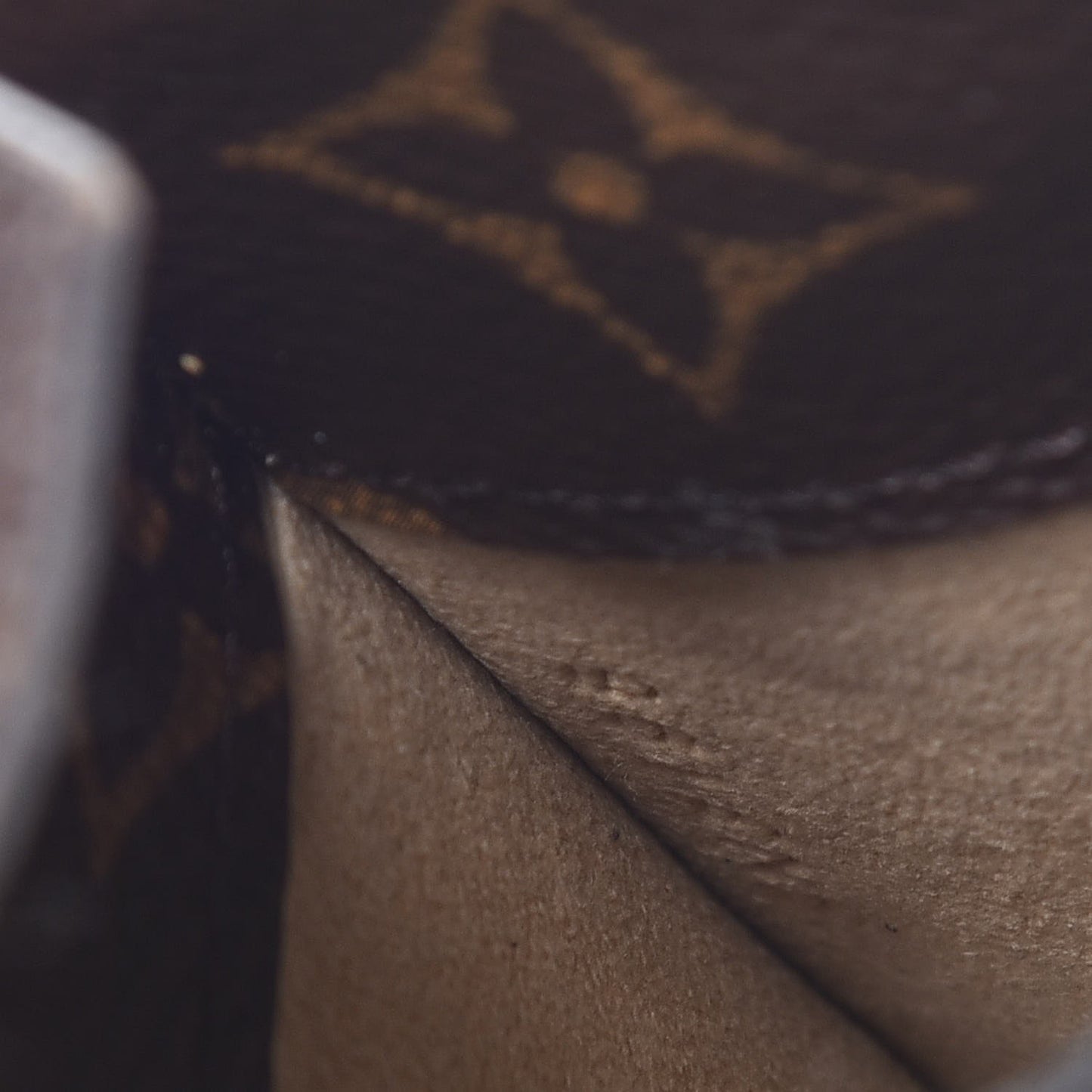 Monogram Sunglasses Case MM