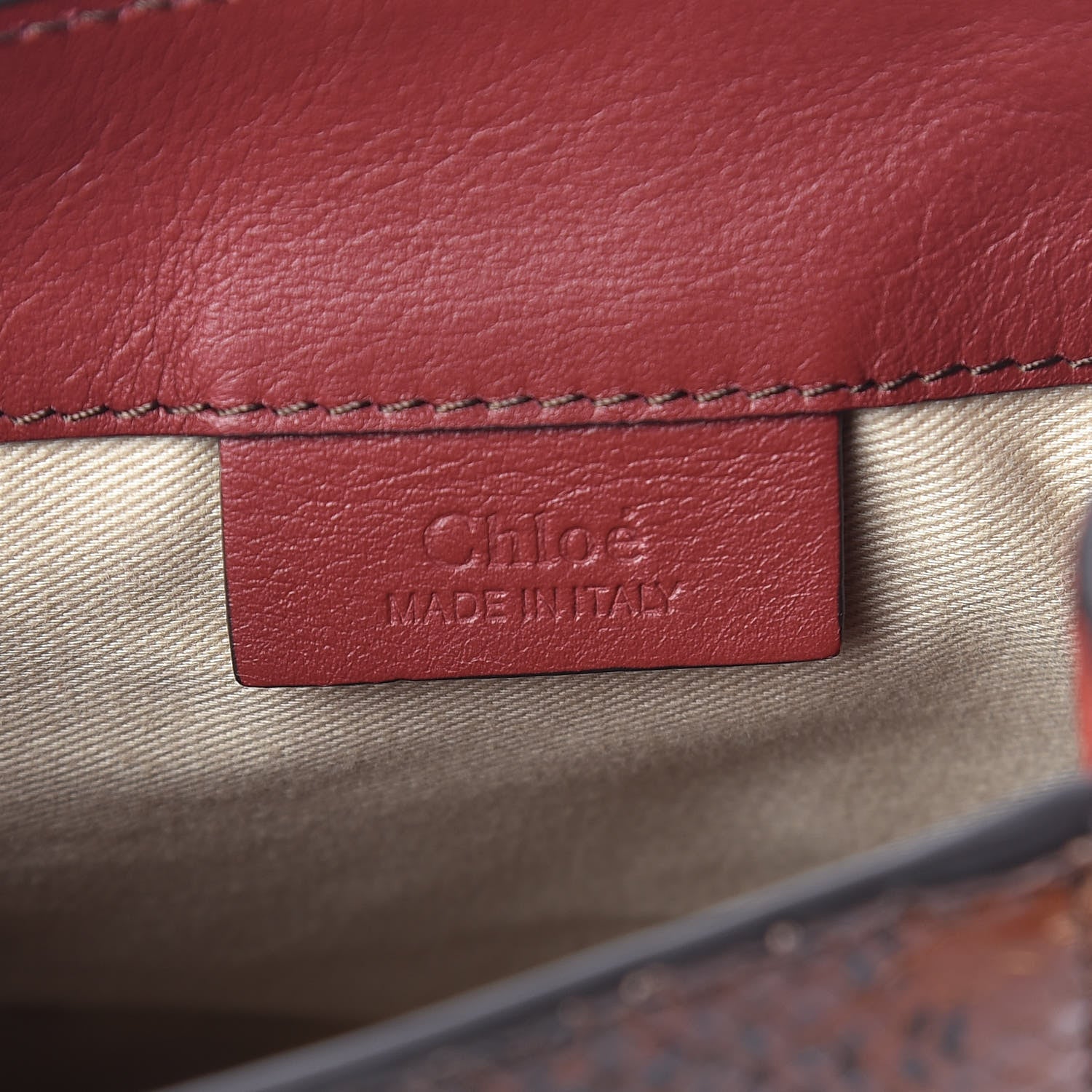 Chloe Calfskin Watersnake Embossed Mini Faye Backpack Sepia Brown 6 of 14