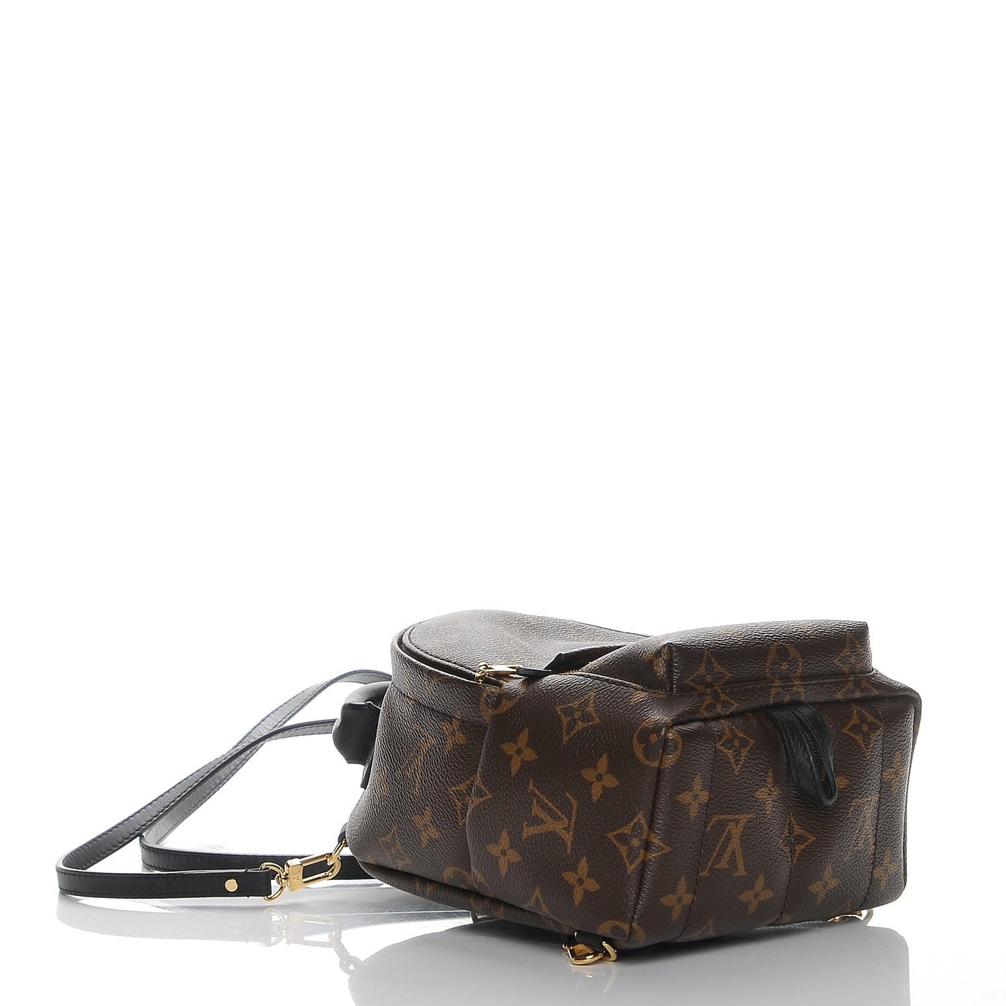 Monogram Palm Springs Backpack Mini