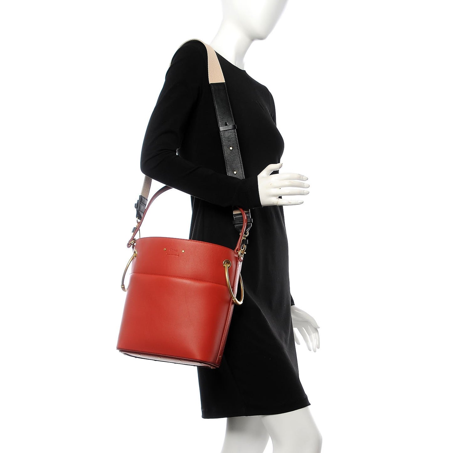 Smooth Calfskin Medium Roy Bucket Bag Earthy Red