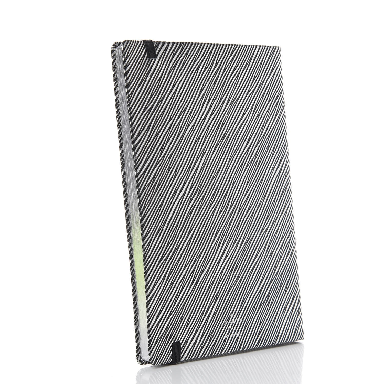 Louis Vuitton Epi Gustave Notebook MM Platine 2 of 6