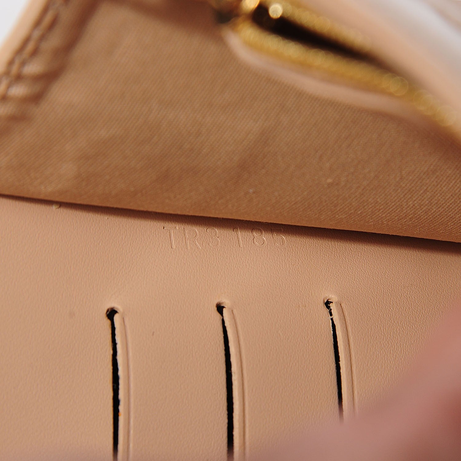 Louis Vuitton Vernis Ana Clutch Dune 7 of 8