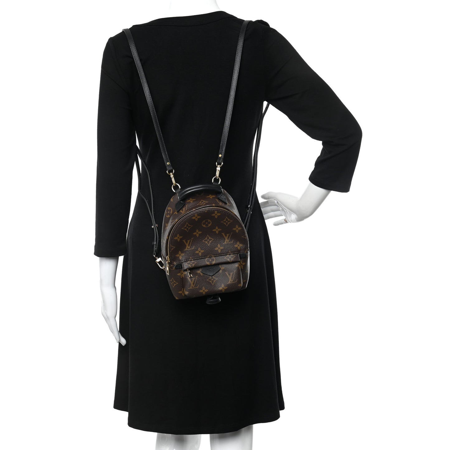 Monogram Palm Springs Backpack Mini