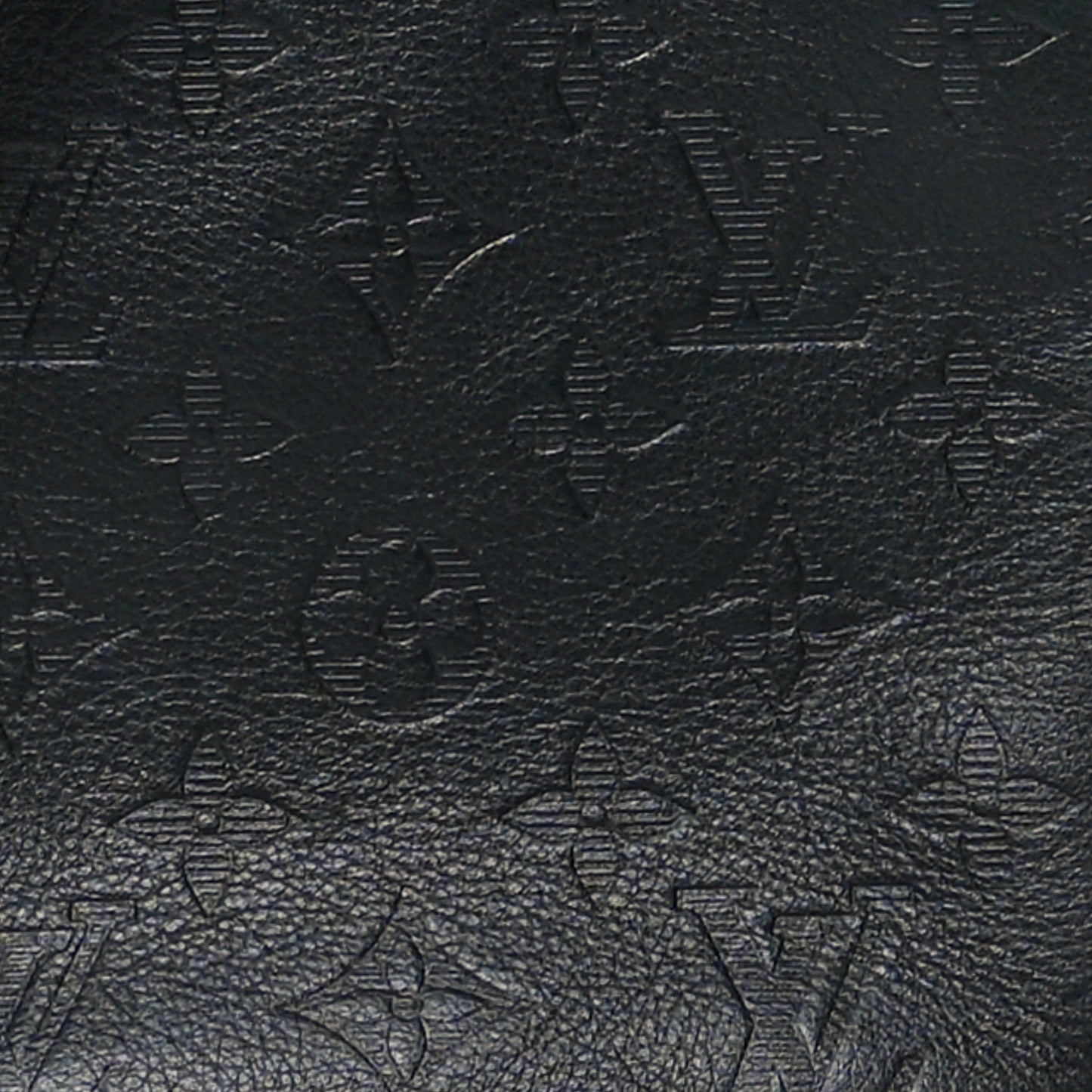 Calfskin Monogram Shadow Danube PM Black