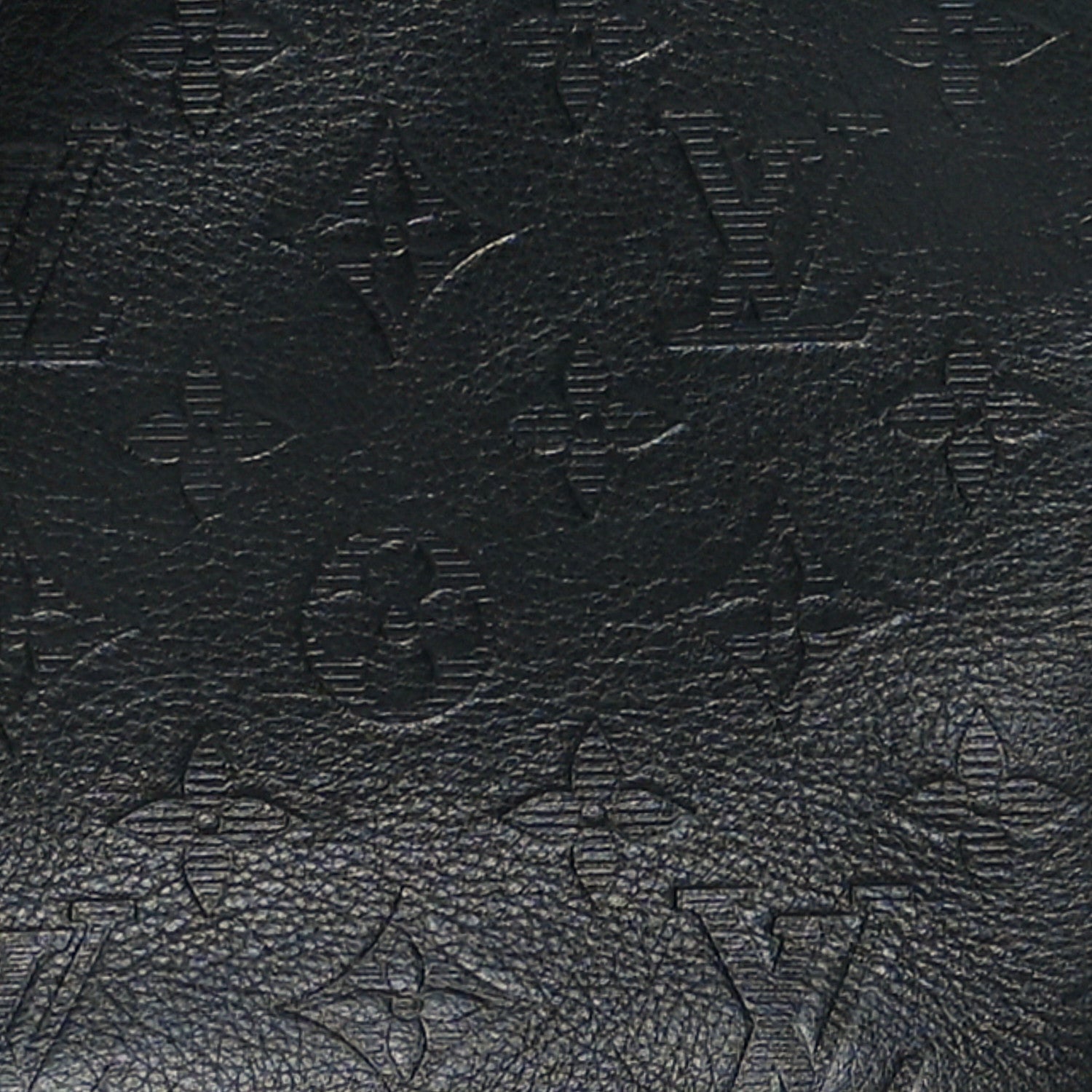 Louis Vuitton Calfskin Monogram Shadow Danube PM Black 7 of 9