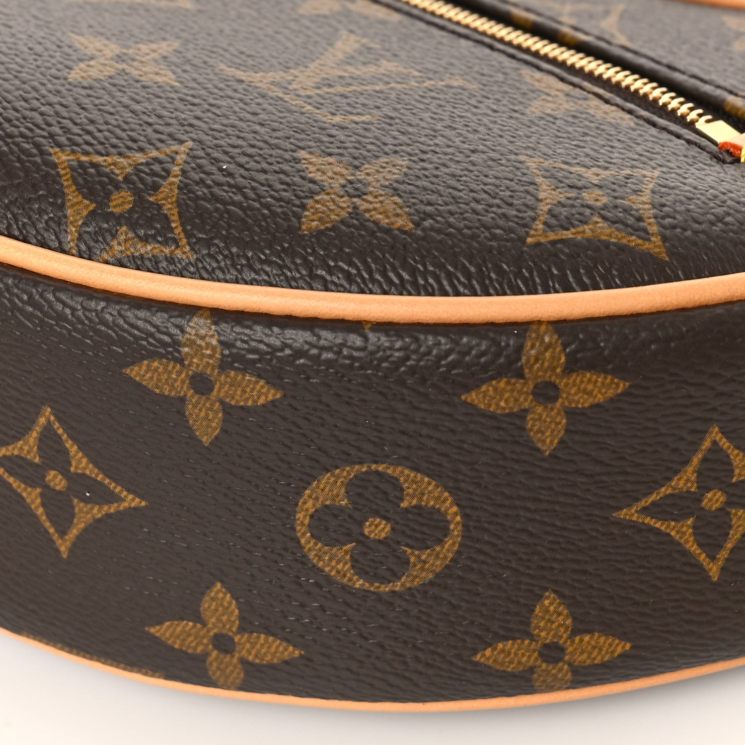Louis Vuitton Monogram Loop 8 of 9