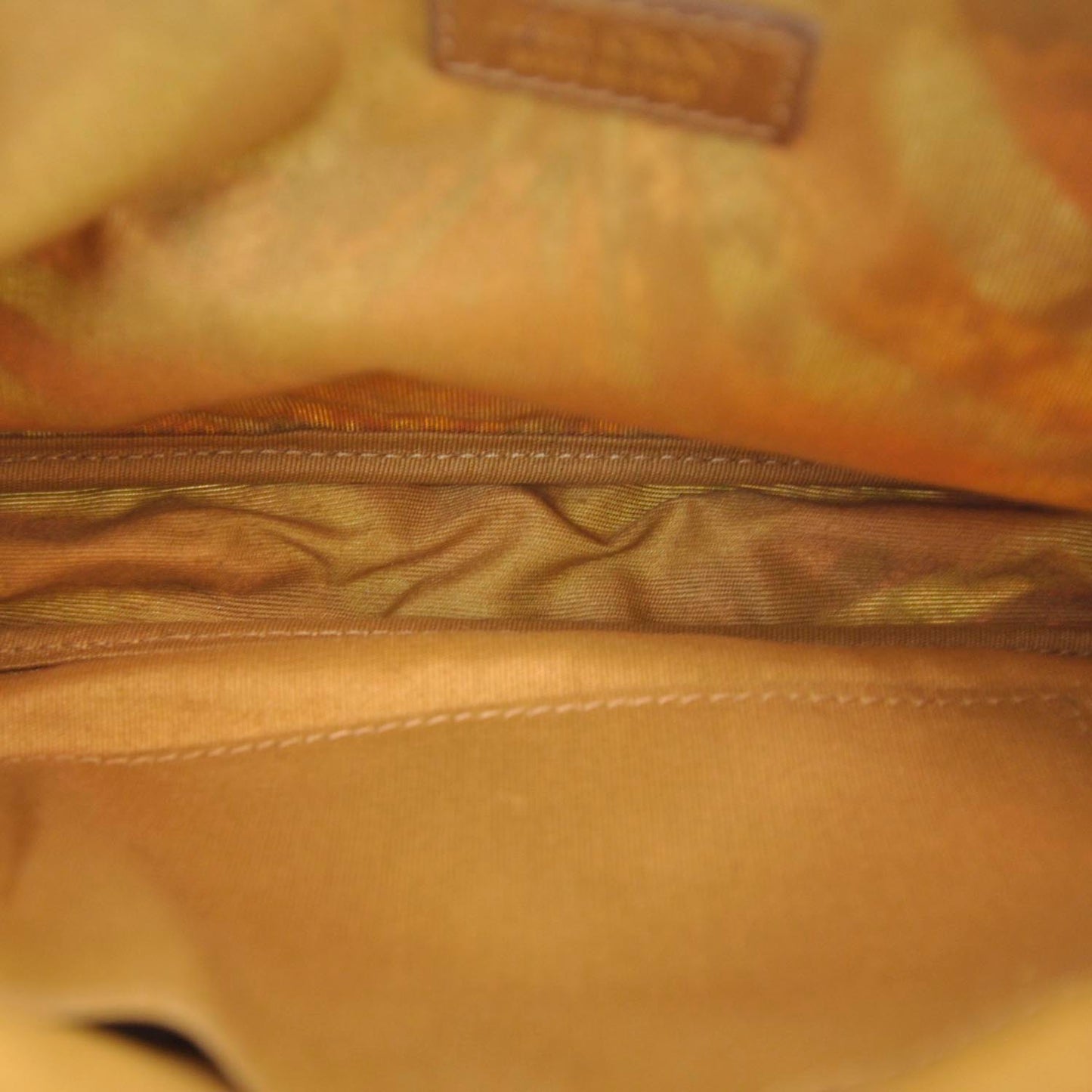 Glazed Canvas Exotic Print Clutch