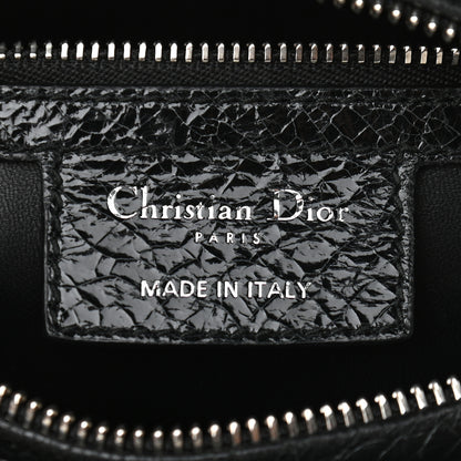 Christian Dior Ceramic Effect Deerskin Jeweled Swan Lady Dior Black 8 of 9