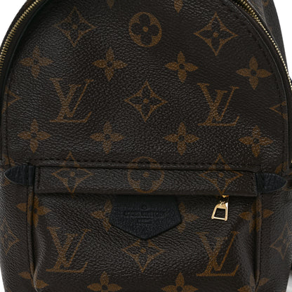 Louis Vuitton Monogram Palm Springs Backpack Mini 14 of 16