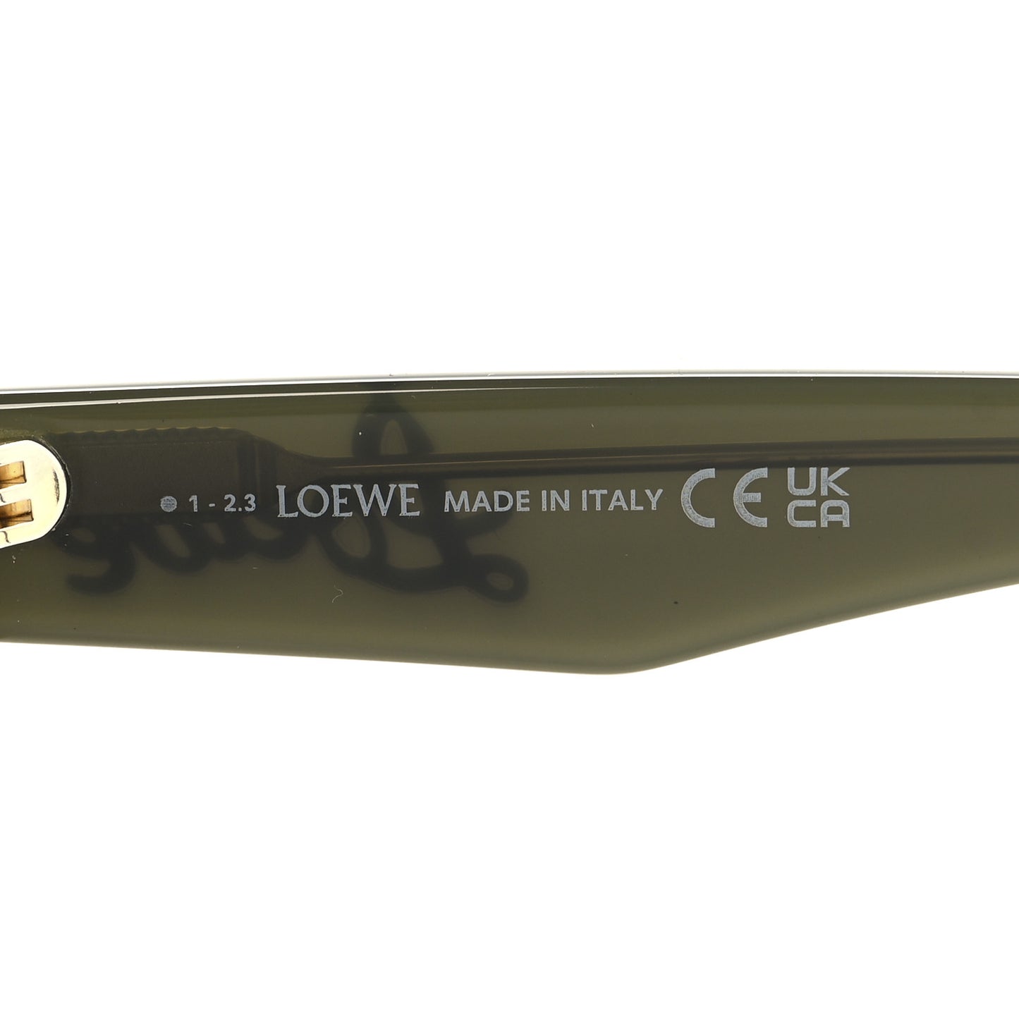 Acetate Curvy Round Sunglasses LW40112I Green