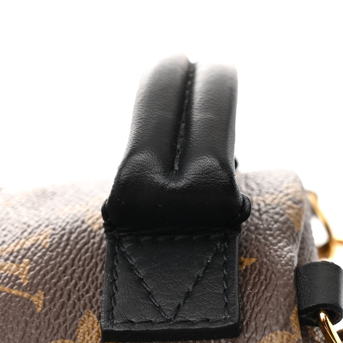 Monogram Palm Springs Backpack Mini