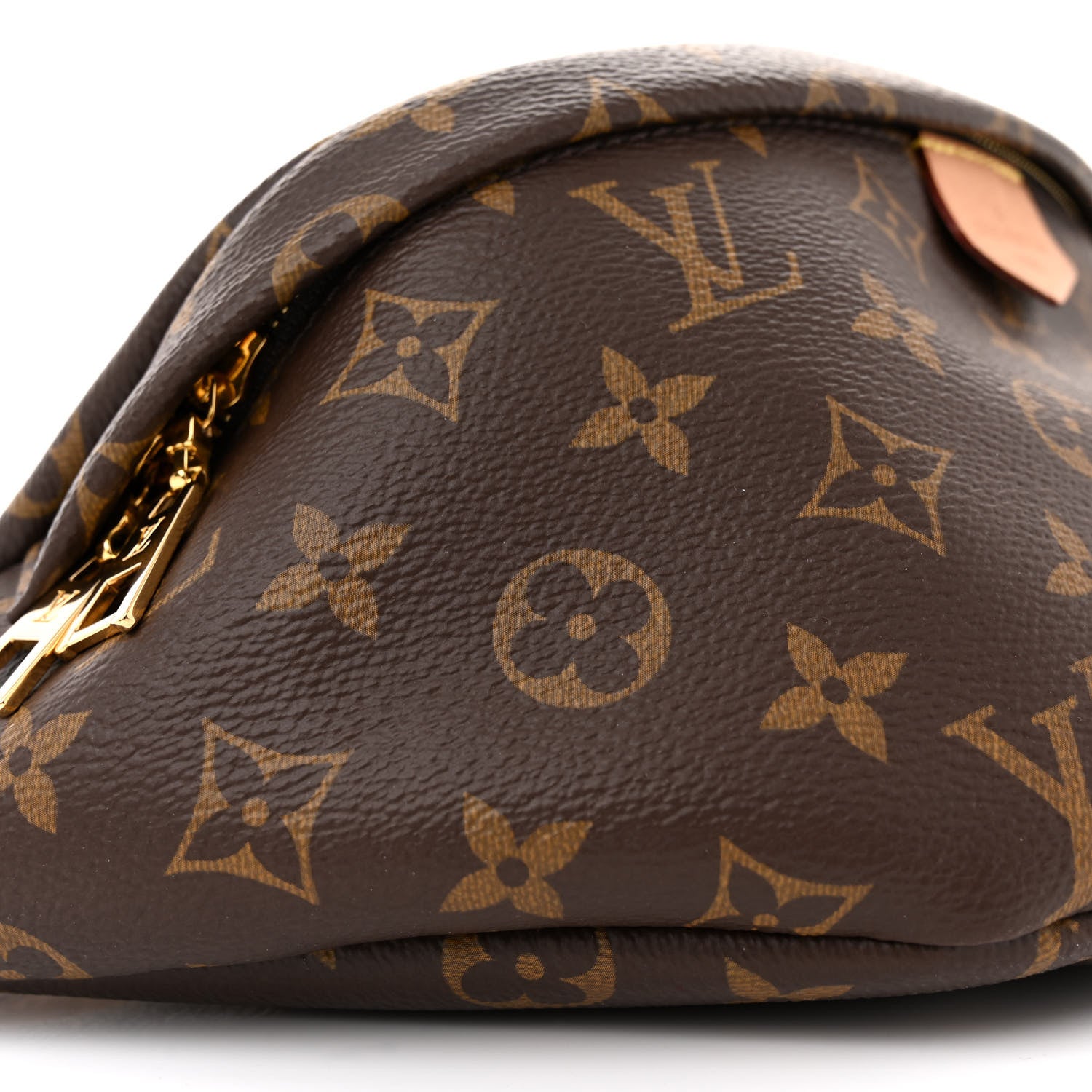 Louis Vuitton LOUIS VUITTON Monogram Bumbag 8 of 11
